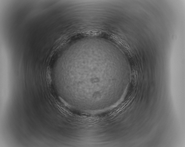 X0000116101058200911301058