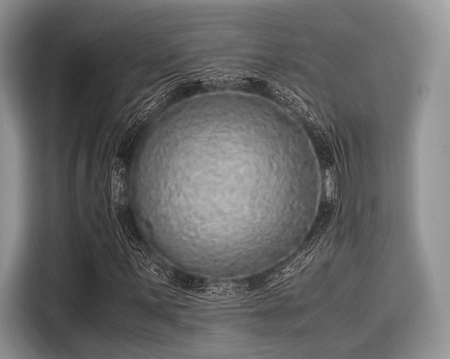 X0000116101059200911301058