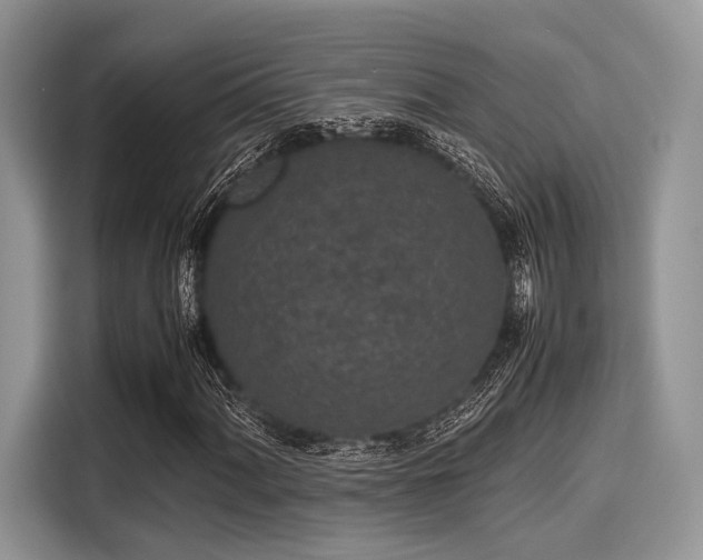 X0000116101060200911301058