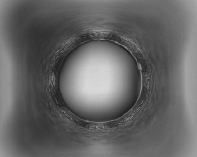 X0000116101061200911301058