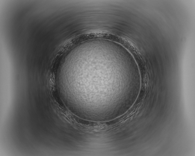 X0000116101062200911301058