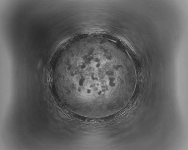 X0000116101063200911301058