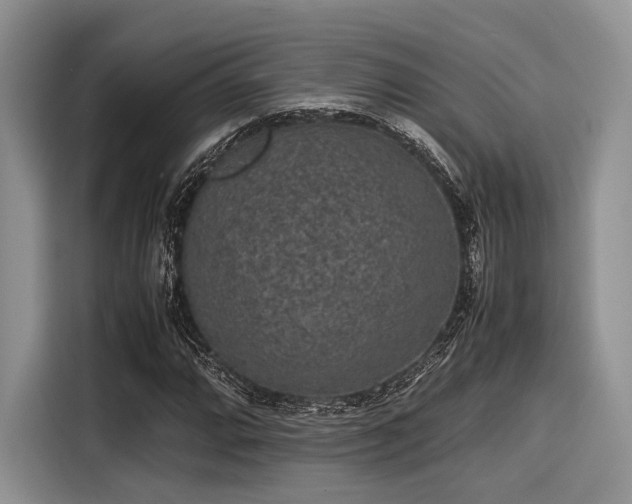 X0000116101064200911301058