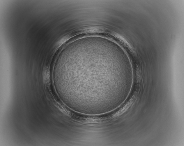 X0000116101065200911301058