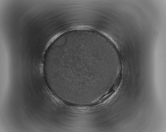 X0000116101066200911301058