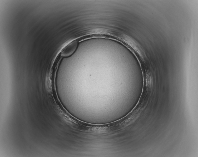 X0000116101068200911301058