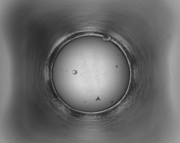 X0000116101069200911301058