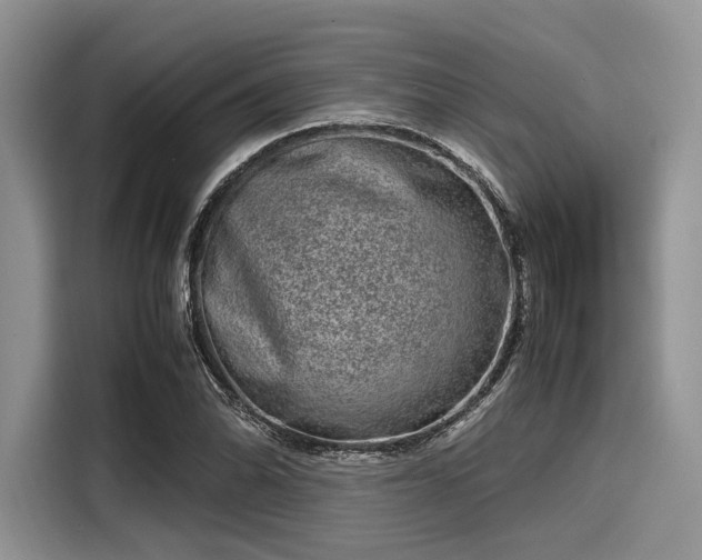 X0000116101070200911301058