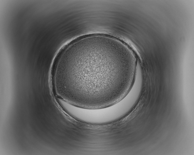 X0000116101072200911301058