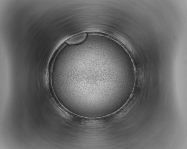 X0000116101076200911301058