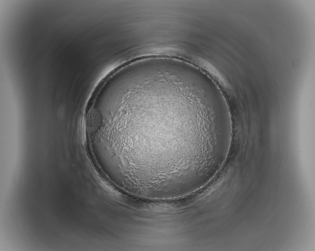 X0000116101079200911301058