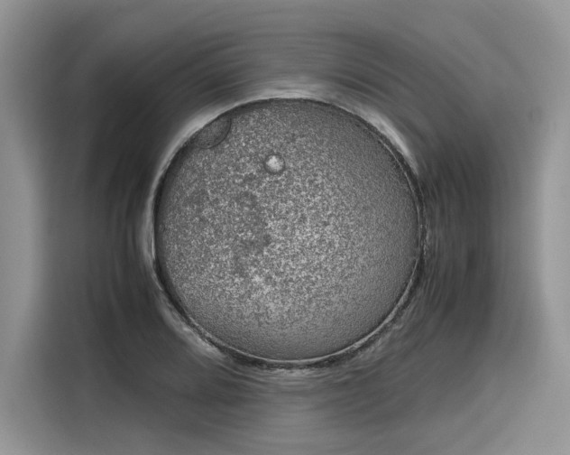 X0000116101080200911301058