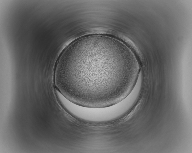 X0000116101081200911301058