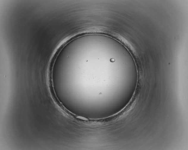 X0000116101085200911301058