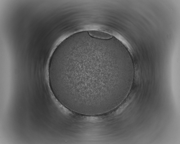 X0000116101088200911301058