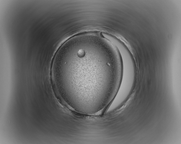 X0000116101089200911301058