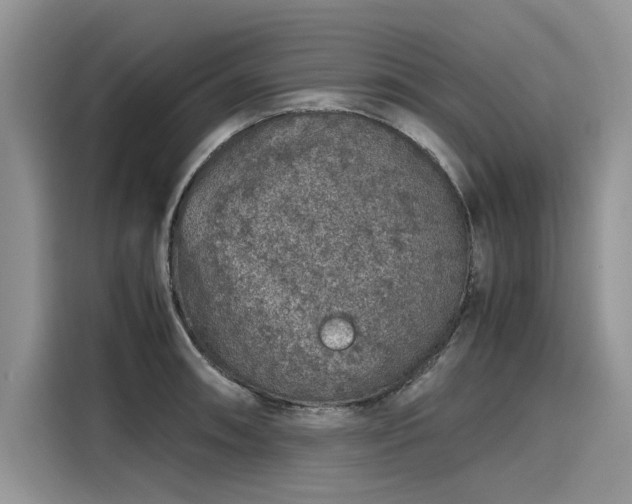 X0000116101090200911301058