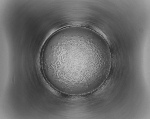 X0000116101091200911301058