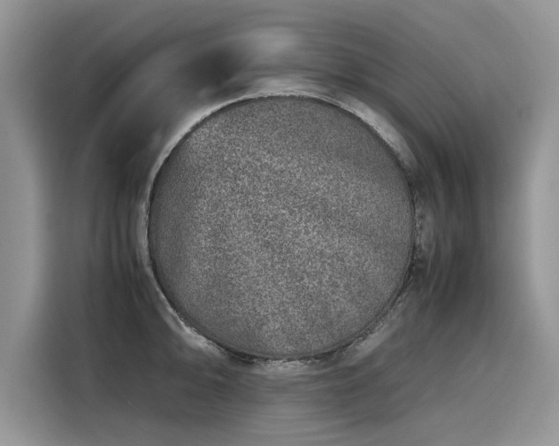 X0000116101094200911301058