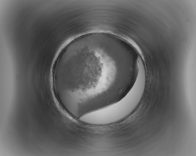 X0000116101096200911301058