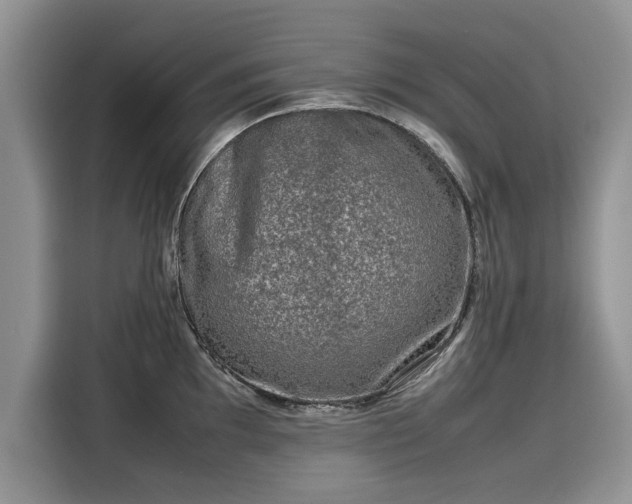 X0000116101097200911301058