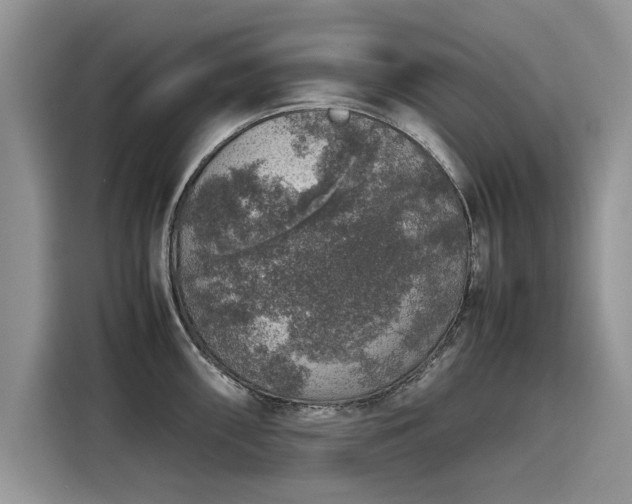 X0000116101098200911301058