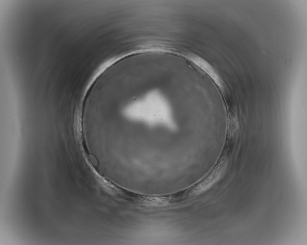 X0000116101101200911301058