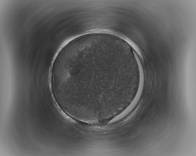 X0000116101102200911301057