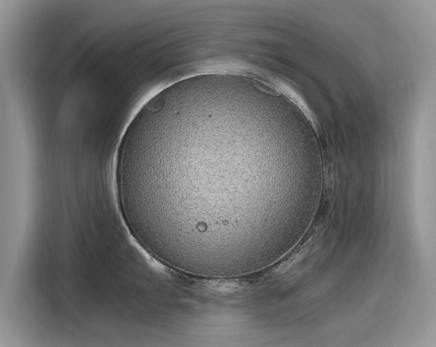 X0000116101103200911301057