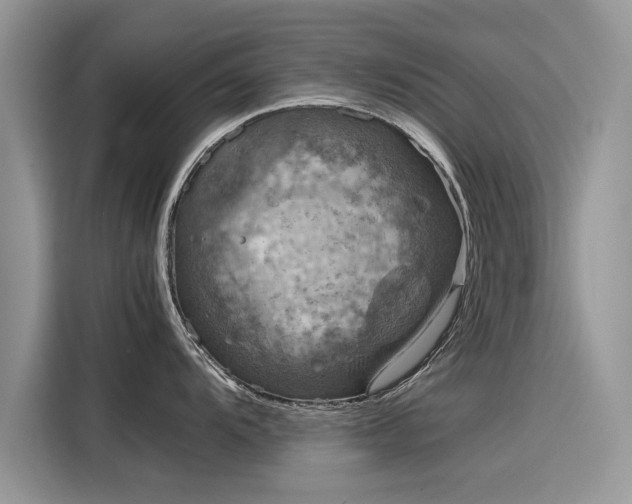 X0000116101104200911301057