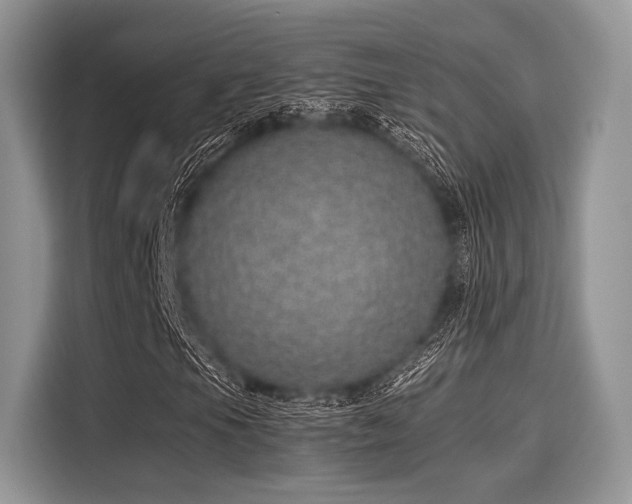 X0000116101105200911301057