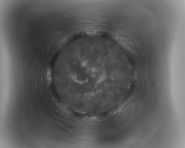 X0000116101106200911301057