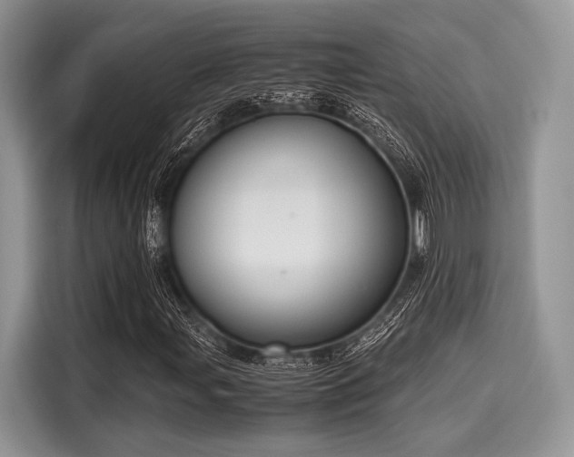 X0000116101107200911301057