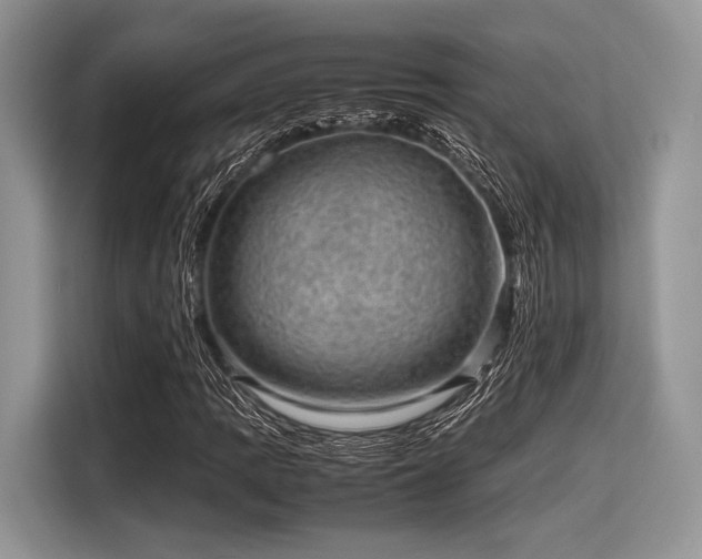 X0000116101109200911301057