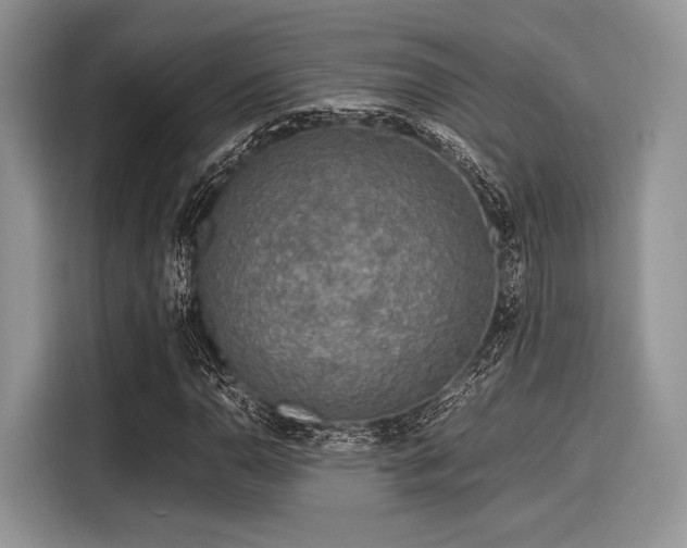 X0000116101110200911301057