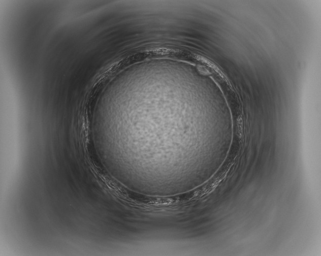 X0000116101111200911301057