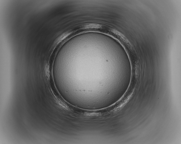 X0000116101113200911301057