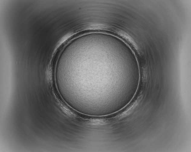 X0000116101114200911301057