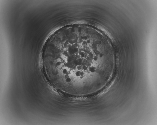 X0000116101117200911301057