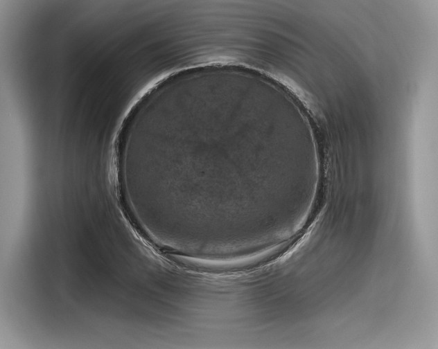 X0000116101118200911301057