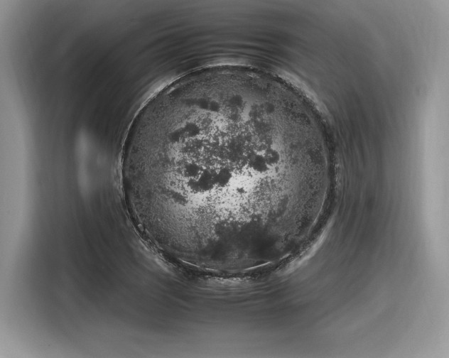 X0000116101121200911301057