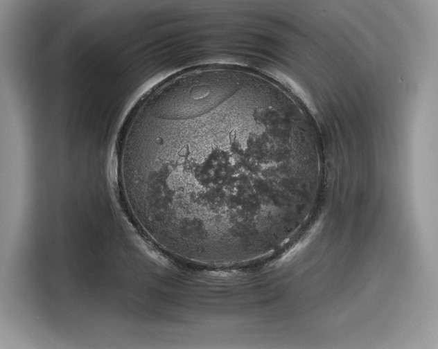 X0000116101125200911301057