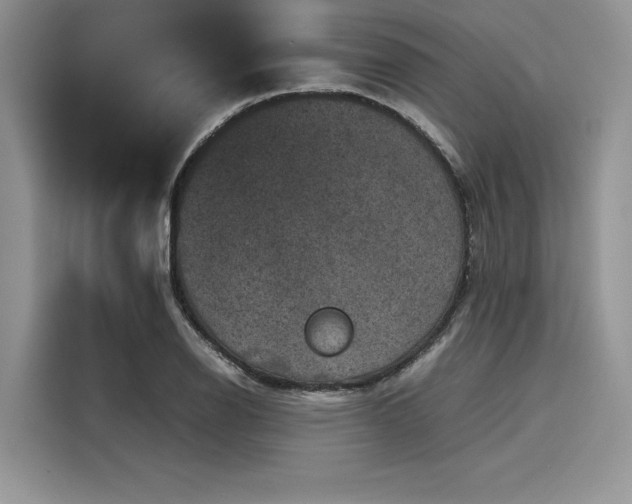 X0000116101126200911301057