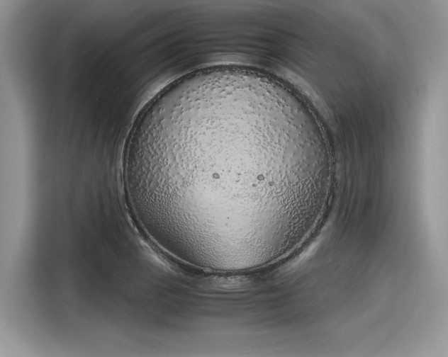 X0000116101129200911301057