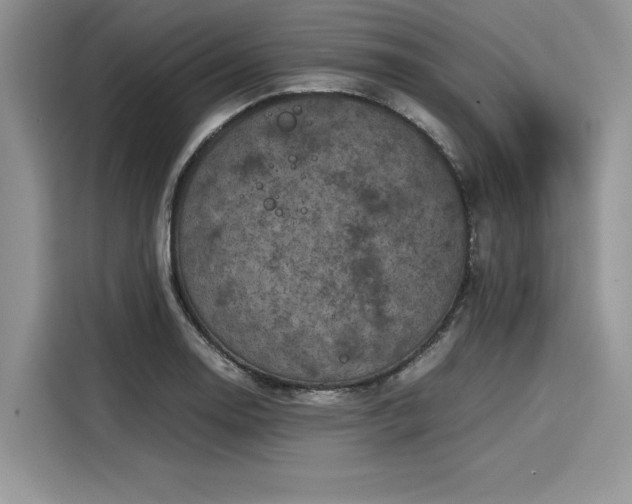 X0000116101130200911301057