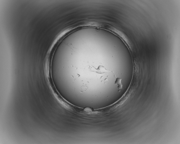 X0000116101131200911301057