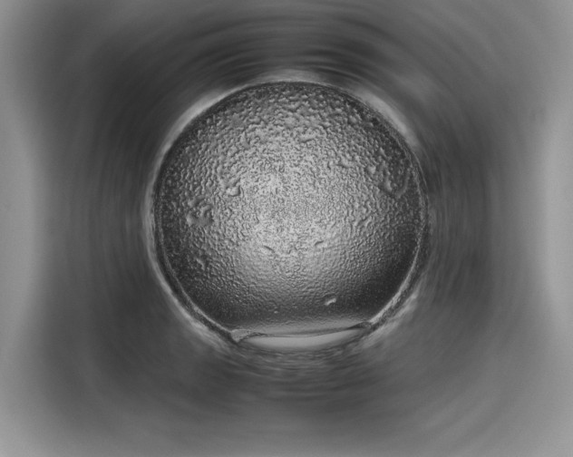 X0000116101133200911301057