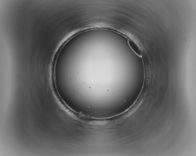 X0000116101134200911301057