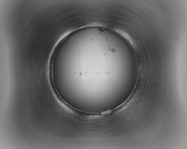 X0000116101135200911301057