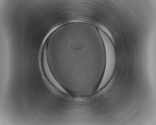 X0000116101138200911301057